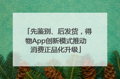 先鉴别、后发货，得物App创新模式推动消费正品化升级