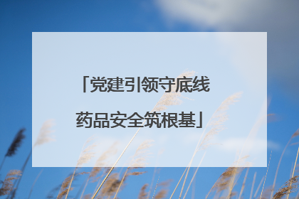 党建引领守底线 药品安全筑根基