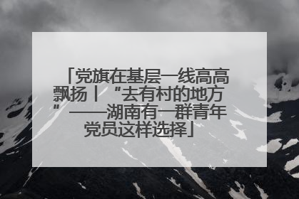 党旗在基层一线高高飘扬丨“去有村的地方”——湖南有一群青年党员这样选择