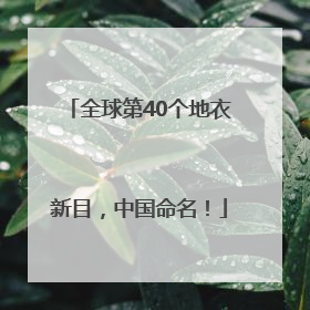 全球第40个地衣新目，中国命名！