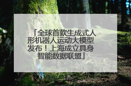 全球首款生成式人形机器人运动大模型发布！上海成立具身智能数据联盟