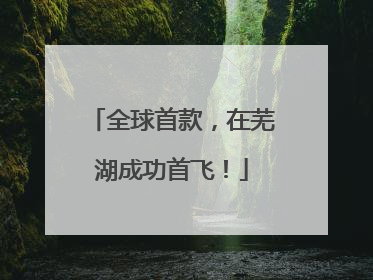 全球首款，在芜湖成功首飞！