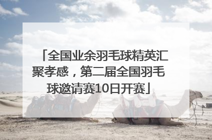 全国业余羽毛球精英汇聚孝感，第二届全国羽毛球邀请赛10日开赛