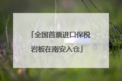 全国首票进口保税岩板在南安入仓