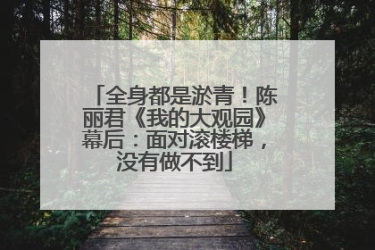 全身都是淤青！陈丽君《我的大观园》幕后：面对滚楼梯，没有做不到