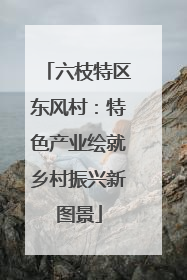 六枝特区东风村：特色产业绘就乡村振兴新图景