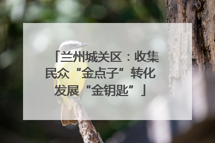 兰州城关区：收集民众“金点子”转化发展“金钥匙”