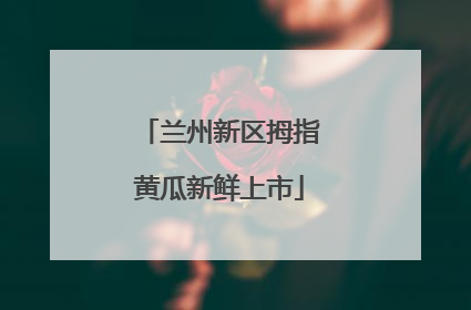 兰州新区拇指黄瓜新鲜上市