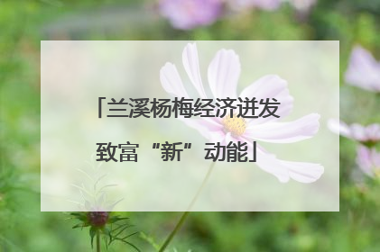 兰溪杨梅经济迸发致富“新”动能