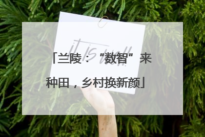 兰陵：“数智”来种田，乡村换新颜