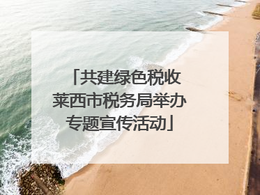 共建绿色税收 莱西市税务局举办专题宣传活动