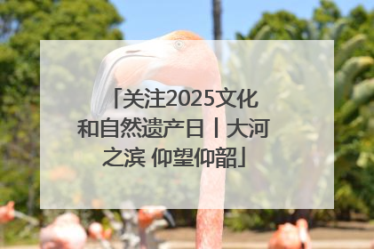 关注2025文化和自然遗产日丨大河之滨 仰望仰韶