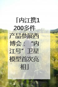 内江携1200多件产品参展西博会：“内江号”卫星模型首次亮相