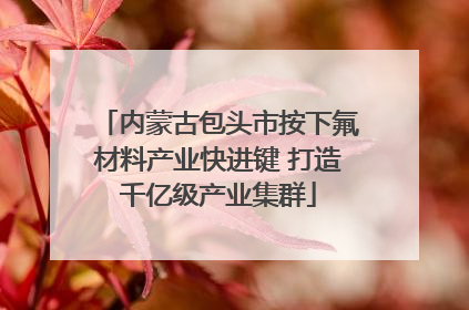 内蒙古包头市按下氟材料产业快进键 打造千亿级产业集群