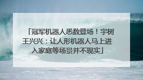 冠军机器人悉数登场！宇树王兴兴：让人形机器人马上进入家庭等场景并不现实