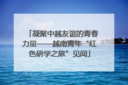 凝聚中越友谊的青春力量——越南青年“红色研学之旅”见闻