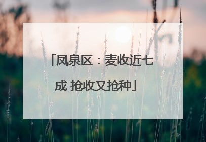 凤泉区：麦收近七成 抢收又抢种