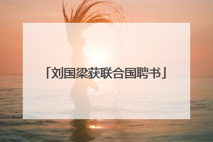 刘国梁获联合国聘书