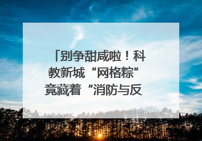 别争甜咸啦！科教新城“网格粽”竟藏着“消防与反诈秘籍”