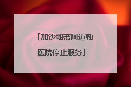 加沙地带阿迈勒医院停止服务