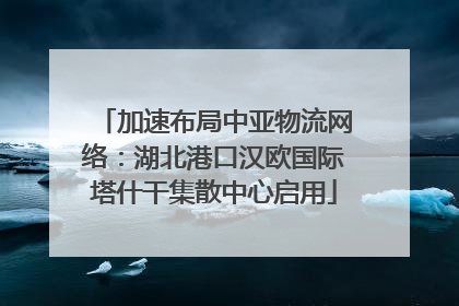 加速布局中亚物流网络：湖北港口汉欧国际塔什干集散中心启用