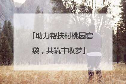 助力帮扶村桃园套袋，共筑丰收梦