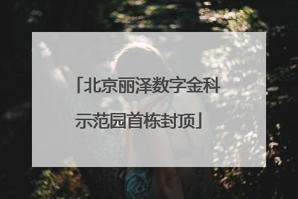 北京丽泽数字金科示范园首栋封顶