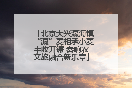 北京大兴瀛海镇“瀛”麦相承小麦丰收开镰 奏响农文旅融合新乐章