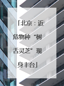 北京：近危物种“树舌灵芝”现身丰台