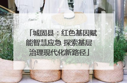 城固县：红色基因赋能智慧应急 探索基层治理现代化新路径