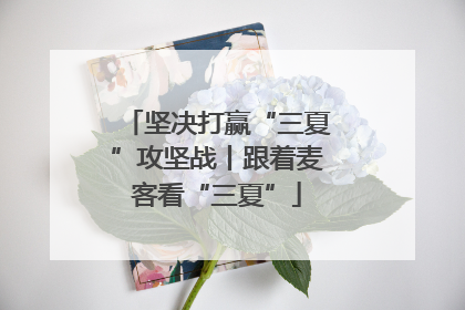坚决打赢“三夏”攻坚战丨跟着麦客看“三夏”