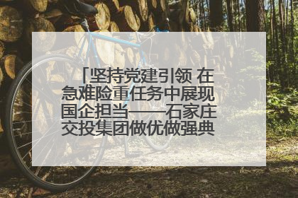坚持党建引领 在急难险重任务中展现国企担当——石家庄交投集团做优做强典型报道之一