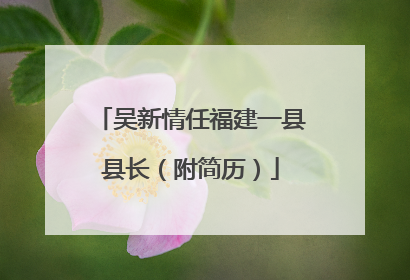 吴新情任福建一县县长（附简历）