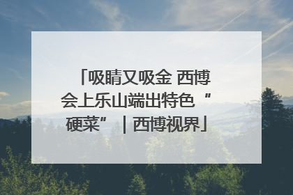 吸睛又吸金 西博会上乐山端出特色“硬菜”｜西博视界