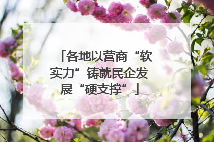 各地以营商“软实力”铸就民企发展“硬支撑”
