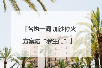 各执一词 加沙停火方案陷“罗生门”