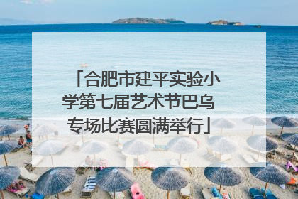合肥市建平实验小学第七届艺术节巴乌专场比赛圆满举行