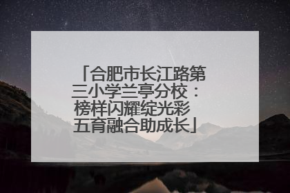 合肥市长江路第三小学兰亭分校：榜样闪耀绽光彩 五育融合助成长