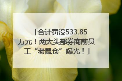 合计罚没533.85万元！两大头部券商前员工“老鼠仓”曝光！