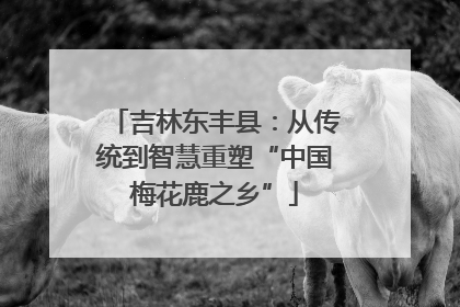 吉林东丰县：从传统到智慧重塑“中国梅花鹿之乡”