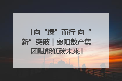 向“绿”而行 向“新”突破｜襄阳数产集团赋能低碳未来
