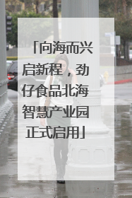 向海而兴启新程，劲仔食品北海智慧产业园正式启用