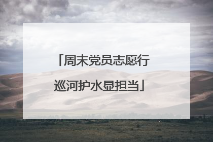 周末党员志愿行 巡河护水显担当
