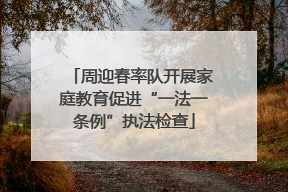 周迎春率队开展家庭教育促进“一法一条例”执法检查