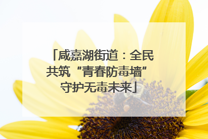 咸嘉湖街道：全民共筑“青春防毒墙” 守护无毒未来