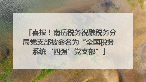 喜报！南岳税务祝融税务分局党支部被命名为“全国税务系统‘四强’党支部”