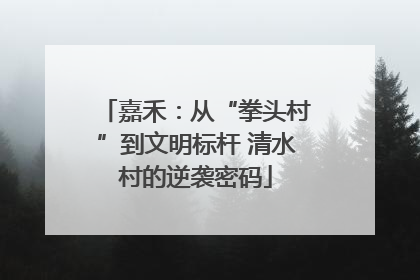 嘉禾：从“拳头村”到文明标杆 清水村的逆袭密码