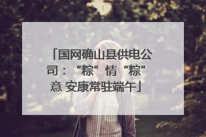 国网确山县供电公司：“粽”情“粽”意 安康常驻端午
