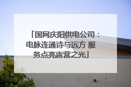 国网庆阳供电公司：电脉连通诗与远方 服务点亮露营之光