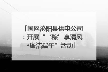 国网泌阳县供电公司：开展“‘粽’享清风 •廉洁端午”活动
